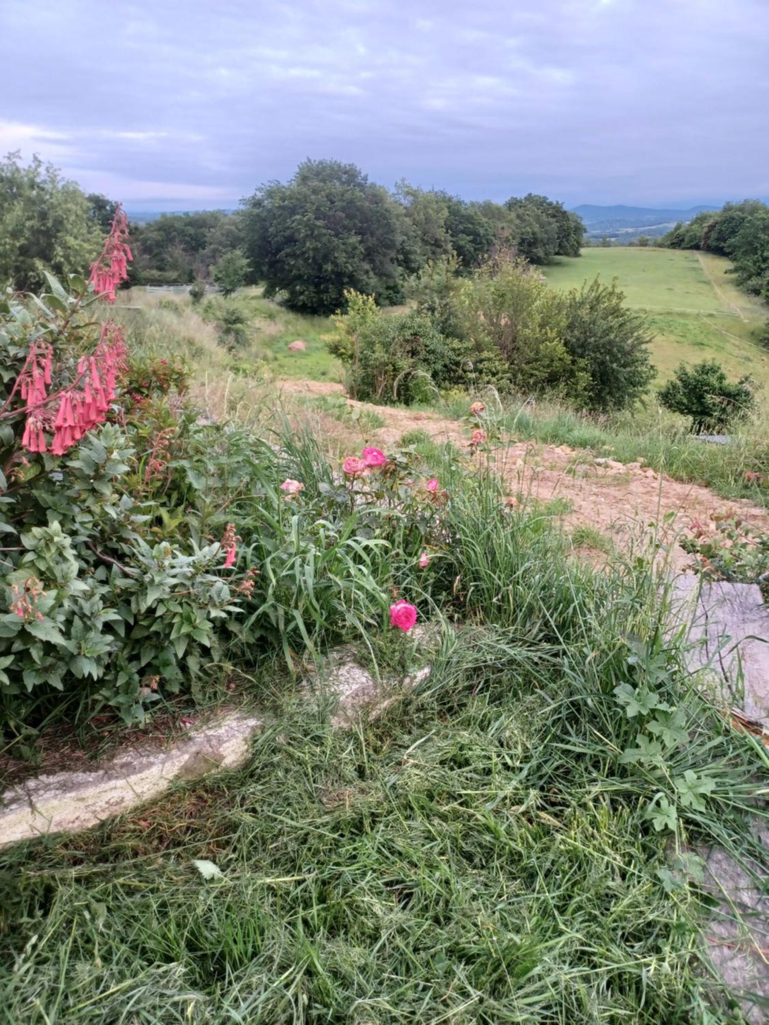 Vila La Biste Mirepoix  Exteriér fotografie